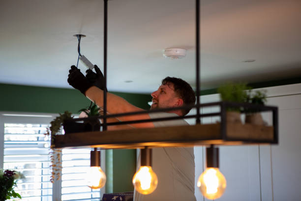 Best Generator Installation Services  in Owosso, MI