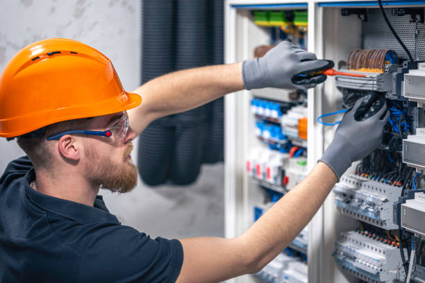 Best Residential Electrician Services  in Owosso, MI
